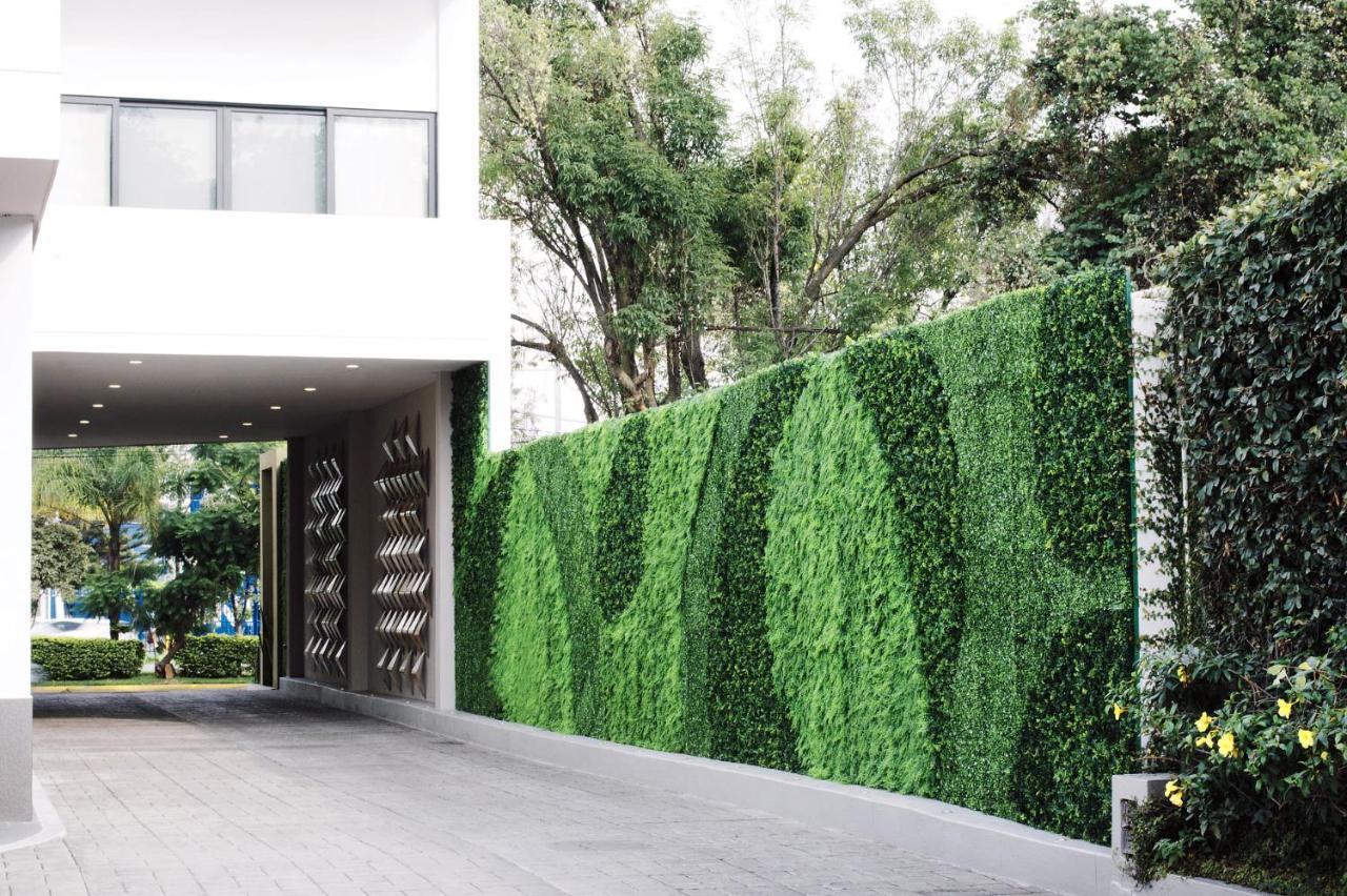 Aurea Hotel And Suites Zapopan Exterior foto